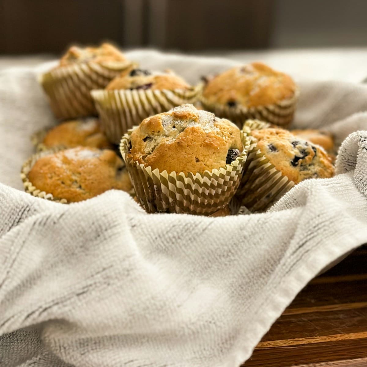 Blueberry Muffin